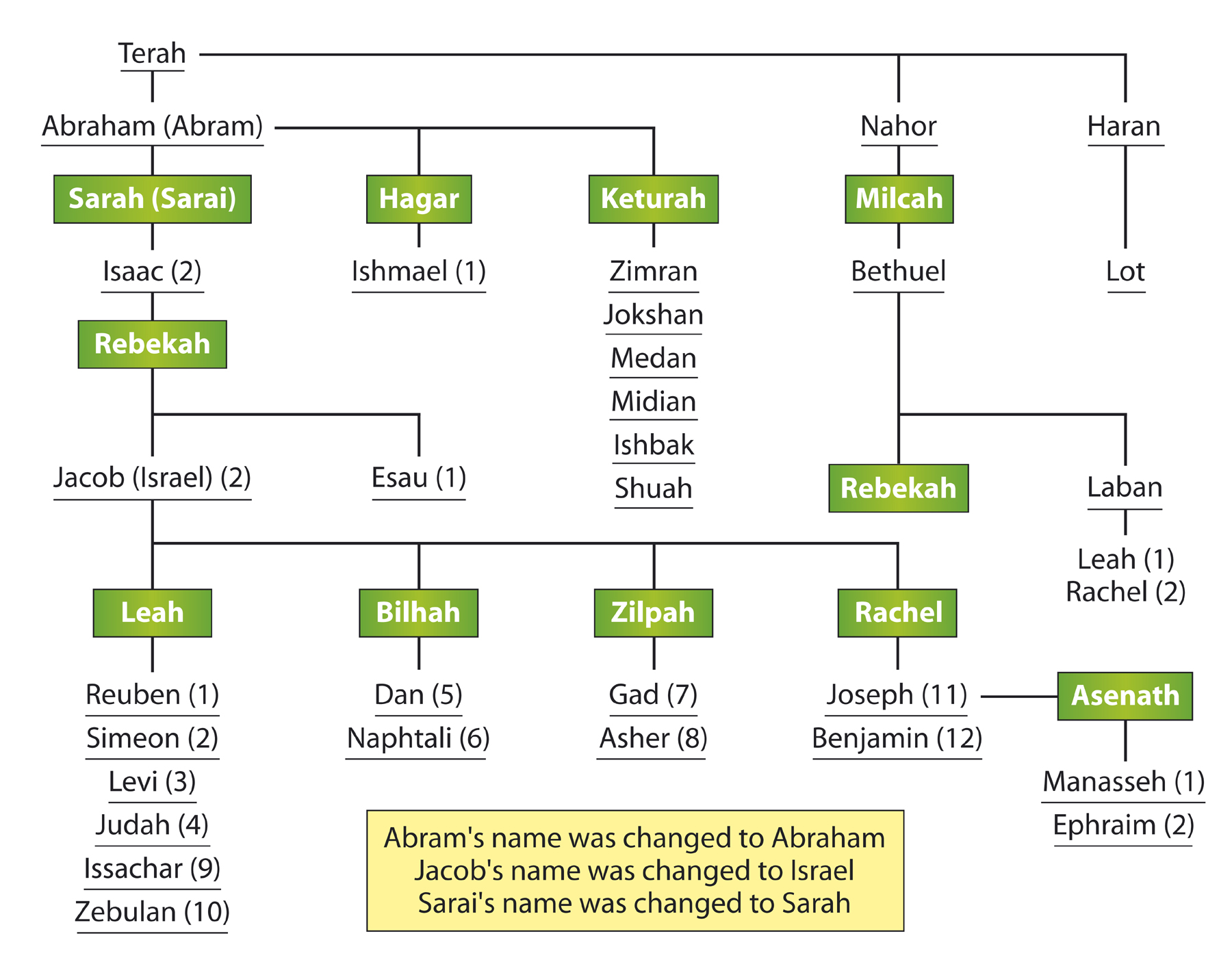 Family Tree Of Moses In The Bible Family Tree – Themelower